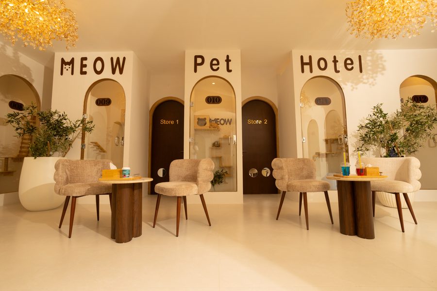 The Meow Pet Hotel lounge