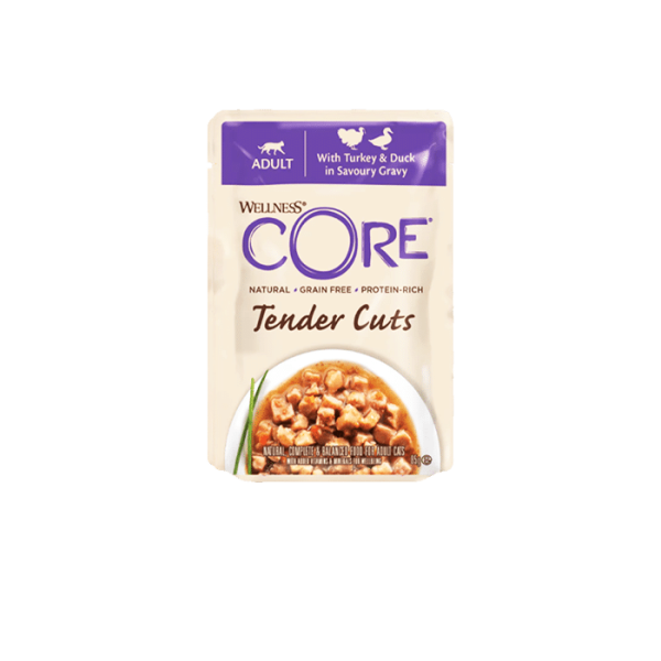 WELLNESS CORE W Turkey & Duck 85g