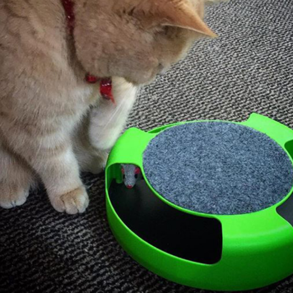 Turnable Cat Toy W Mouse