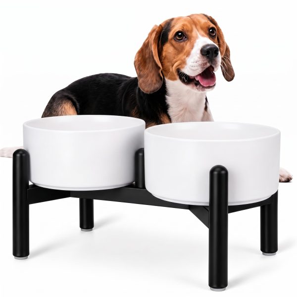 Double Ceramic Bowl Feeder Set