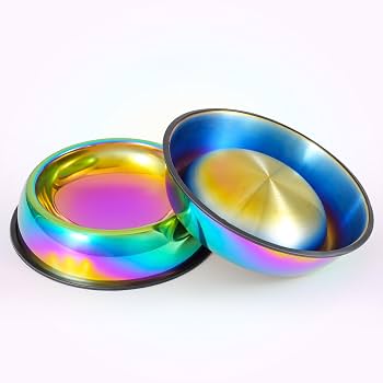 XLarge Multi Color Pet Bowl